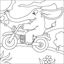 Elephant 17